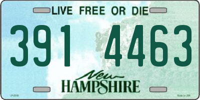 NH license plate 3914463