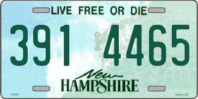 NH license plate 3914465
