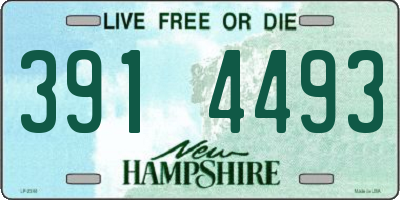 NH license plate 3914493