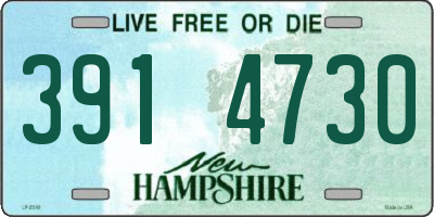 NH license plate 3914730
