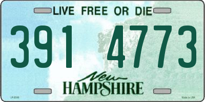 NH license plate 3914773