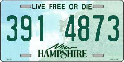 NH license plate 3914873