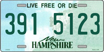 NH license plate 3915123