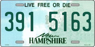 NH license plate 3915163