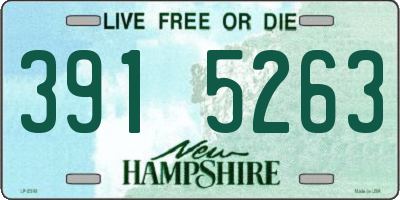NH license plate 3915263