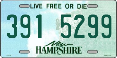 NH license plate 3915299