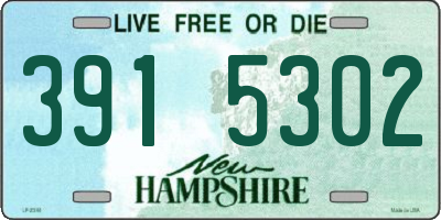 NH license plate 3915302