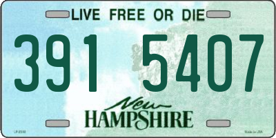 NH license plate 3915407