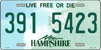 NH license plate 3915423