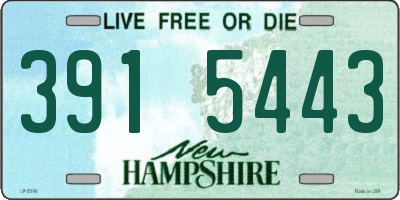 NH license plate 3915443