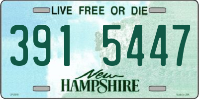 NH license plate 3915447