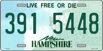 NH license plate 3915448