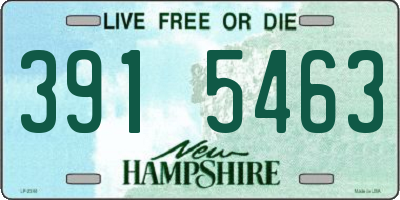 NH license plate 3915463