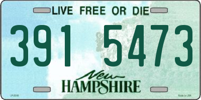 NH license plate 3915473