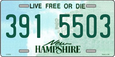 NH license plate 3915503