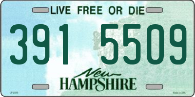 NH license plate 3915509