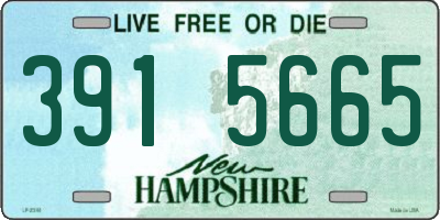 NH license plate 3915665