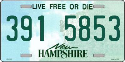 NH license plate 3915853