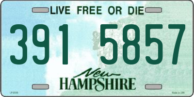 NH license plate 3915857