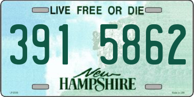NH license plate 3915862