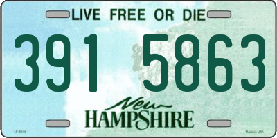 NH license plate 3915863