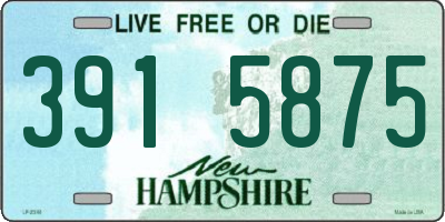 NH license plate 3915875