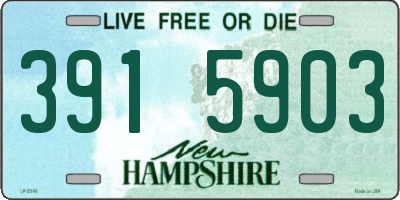 NH license plate 3915903