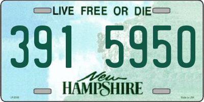 NH license plate 3915950