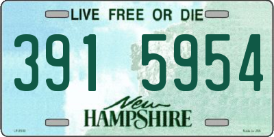 NH license plate 3915954