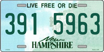 NH license plate 3915963