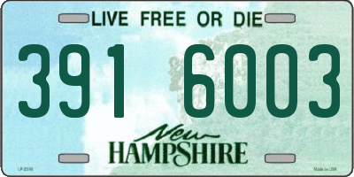 NH license plate 3916003