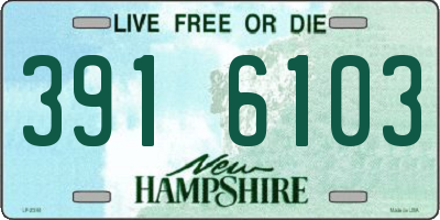 NH license plate 3916103