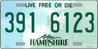 NH license plate 3916123