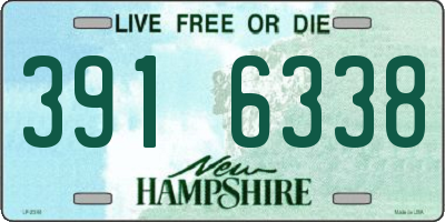 NH license plate 3916338