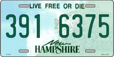 NH license plate 3916375