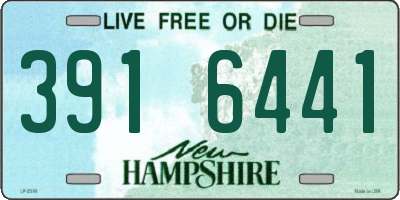 NH license plate 3916441