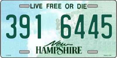 NH license plate 3916445