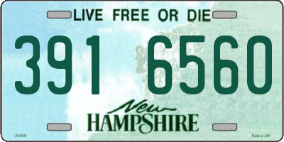 NH license plate 3916560