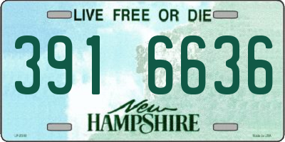 NH license plate 3916636