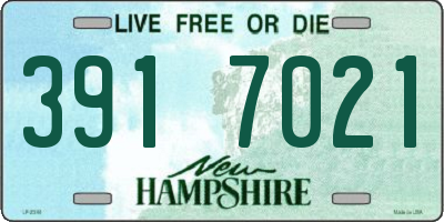 NH license plate 3917021