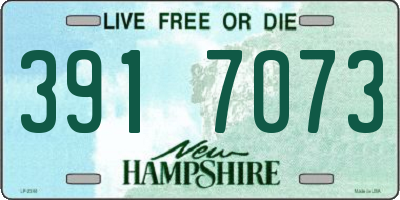 NH license plate 3917073