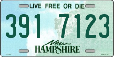 NH license plate 3917123