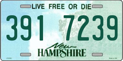 NH license plate 3917239