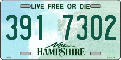 NH license plate 3917302