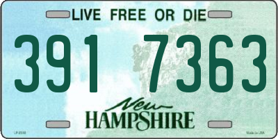 NH license plate 3917363