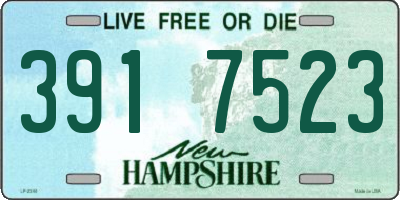 NH license plate 3917523