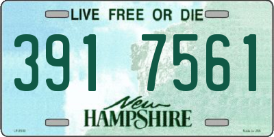 NH license plate 3917561