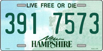 NH license plate 3917573