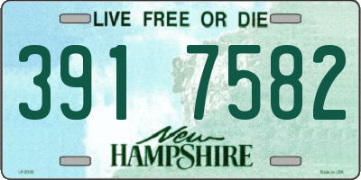NH license plate 3917582
