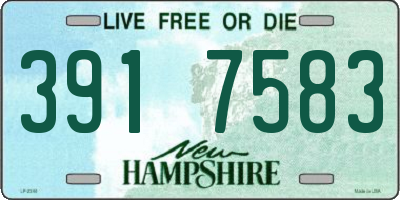 NH license plate 3917583